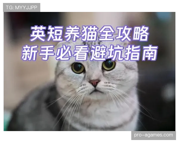 新手必看：进攻犯规的判定规则和实战避坑指南