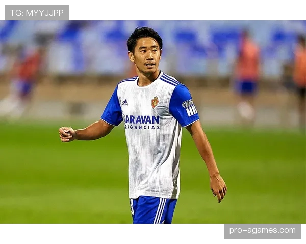 孙兴慜与香川真司进攻效率差异及战术角色适配性分析